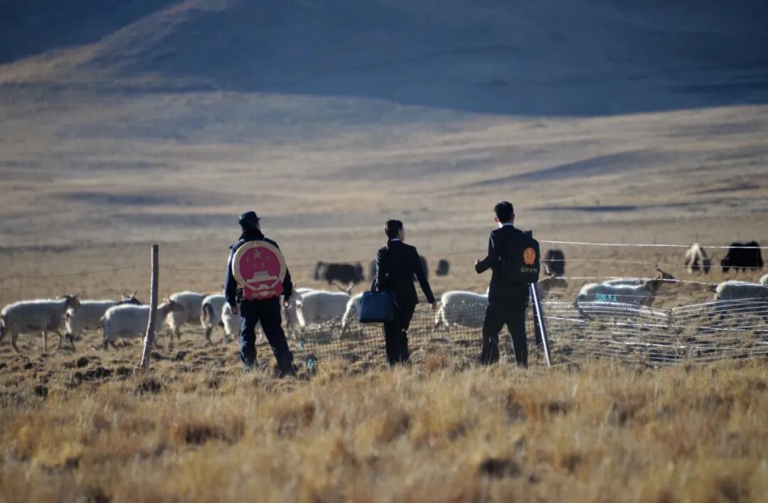 640 (7).jpg 640 (7).jpg